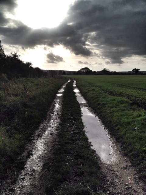 mucky-lane-puddles-slingsby