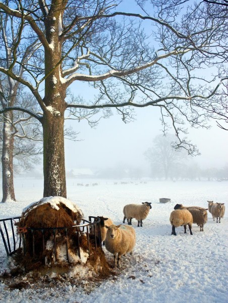 Slingsby winter - The Balk | Photo by Steve Allen